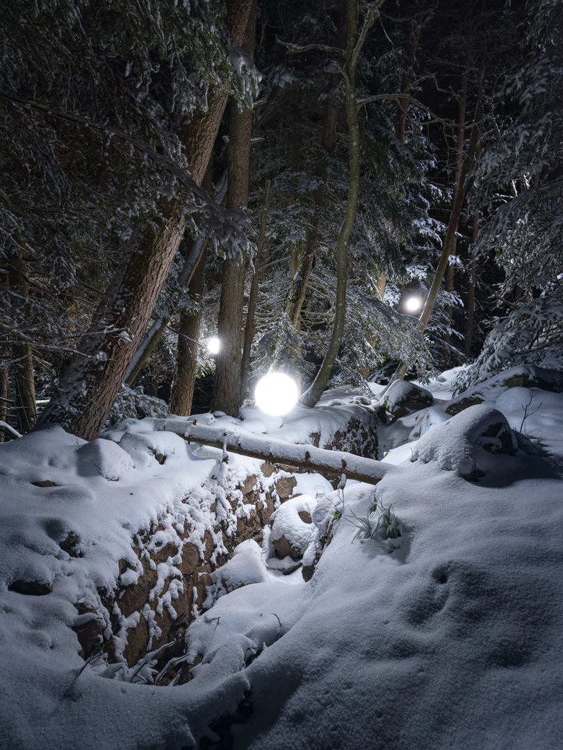 Snowy forest at night over the remains of the Alsace trenches.
