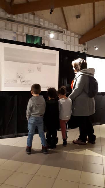 Children looking at a large print of polar bears.